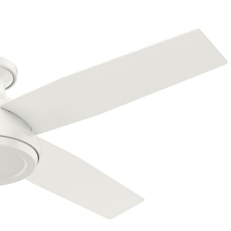 Hunter 59248 Dempsey Fan Blade Finish 1