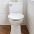 American Standard-2922A.104-Lifestyle Image 2