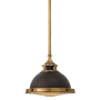 Hinkley Lighting Amelia 1 Light 11-1/2" Wide Pendant with Fresnal Lens Buckeye Bronze