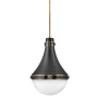 Hinkley Lighting Oliver 1 Light 14" Wide Pendant Black