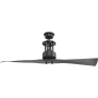 Progress Lighting Spades 56" 2 Blade Indoor Ceiling Fan with Remote Control Graphite